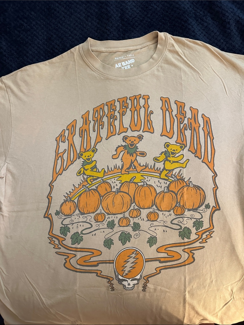 American Eagle Geateful Dead Tee Shirt